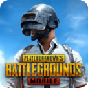 <strong>PubgMobile国际服</strong>