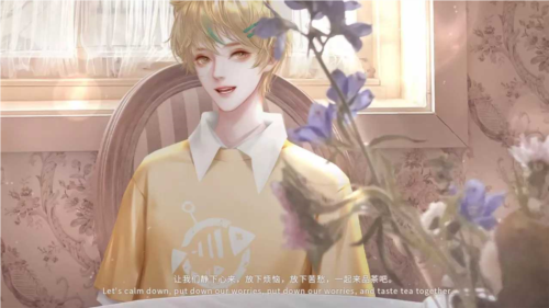 王子的爱情故事安卓版