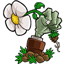 <strong>植物大战僵尸e版支线手机版</strong>