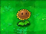 植物大战僵尸贝塔版官方版