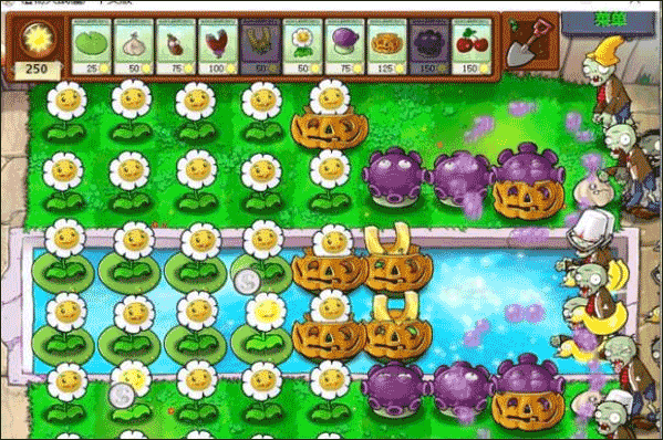 植物大战僵尸95版
