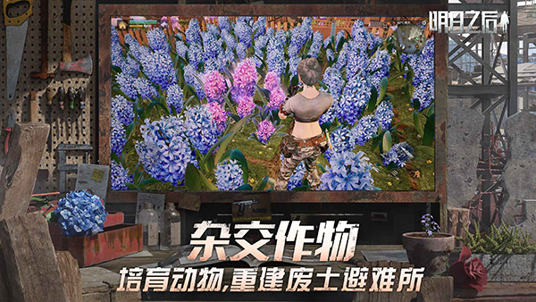 明日之后体验服官方版