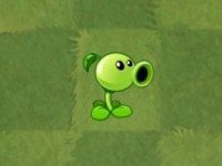 植物大战僵尸亚马逊版本