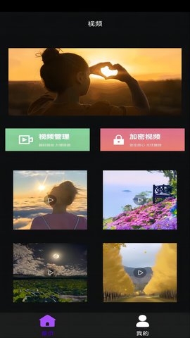 青青草app2025官方版