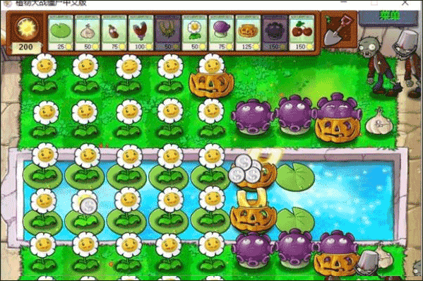植物大战僵尸95版