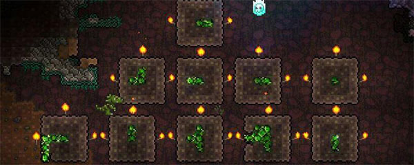 泰拉瑞亚叶绿矿如何挖