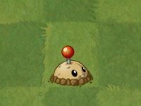 植物大战僵尸亚马逊版本