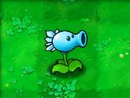 植物大战僵尸贝塔版官方版