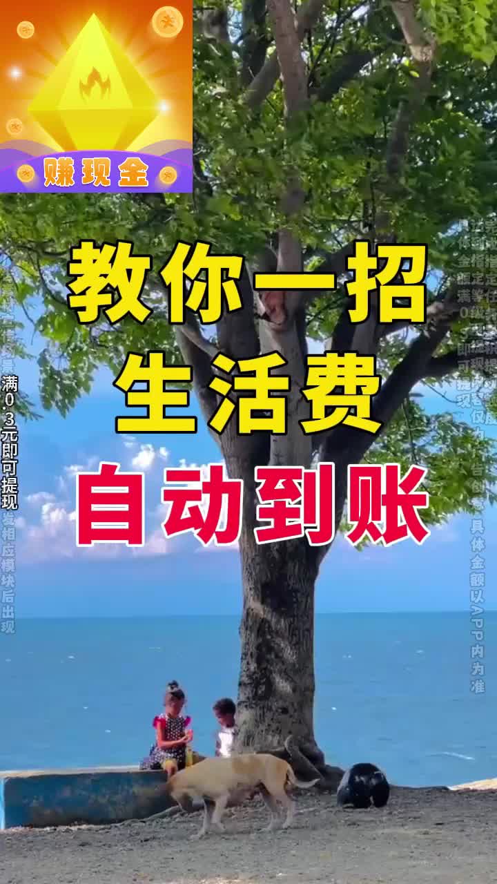 钻石联盟赚钱游戏