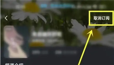 酷狗概念版旧版本如何取消订阅