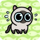 猫里奥大冒险猫猫公园中文版