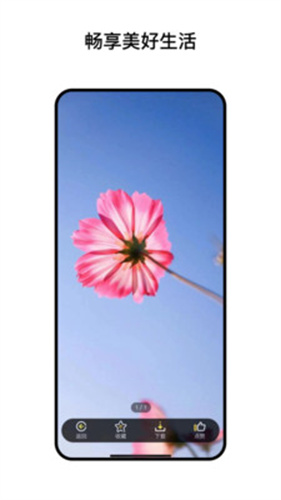 阅小花官方版