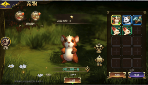 太极熊猫3九游版宠物攻略2