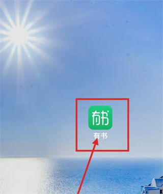 有书