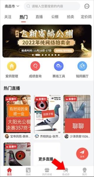 搜鸽天下2
