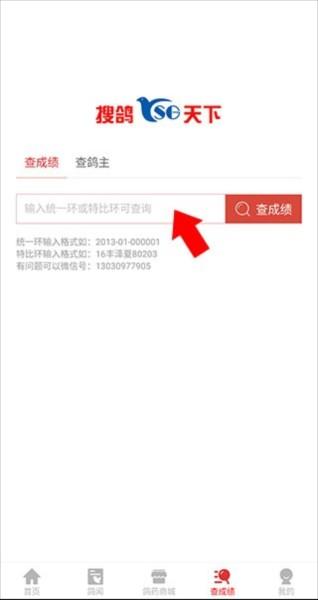 搜鸽天下3