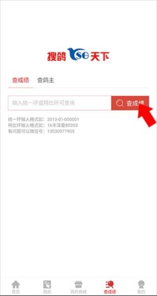 搜鸽天下4