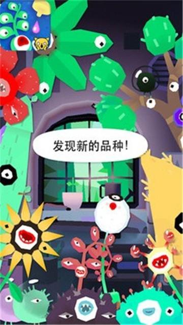 小小植物园
