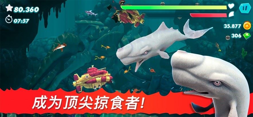 饥饿鲨进化国际服破解版
