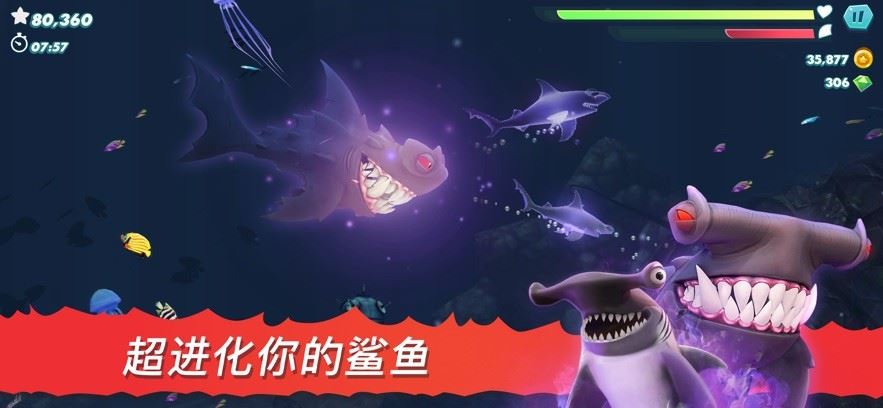 饥饿鲨进化国际服破解版