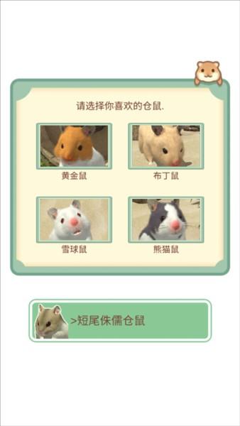 我的仓鼠游戏攻略