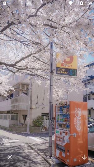 奶油壁纸主题大全app免费下载安装