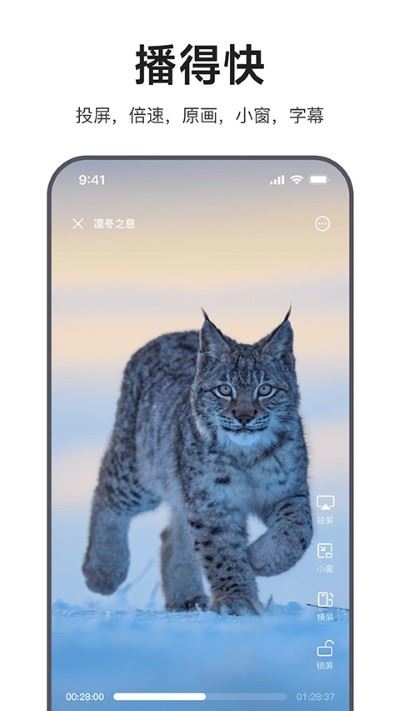 迅雷浏览器最新版