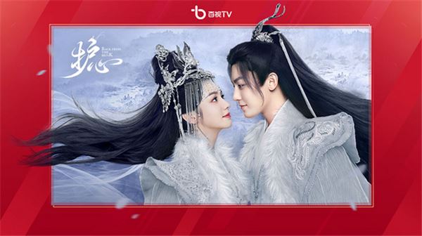 百视tv电视端