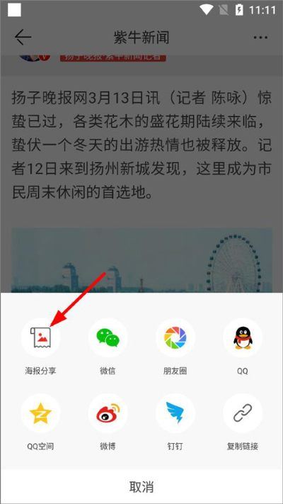 扬子晚报紫牛新闻