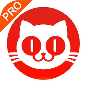 猫眼票房分析专业版