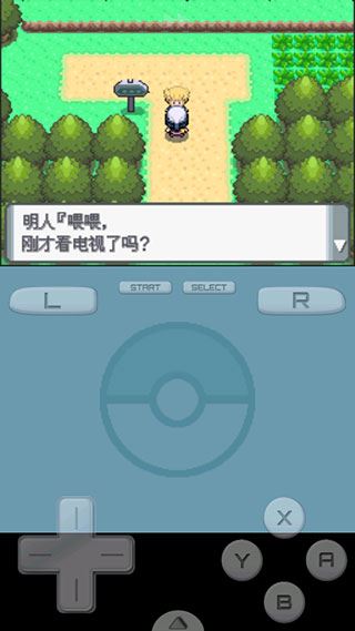 口袋妖怪游戏玩法攻略