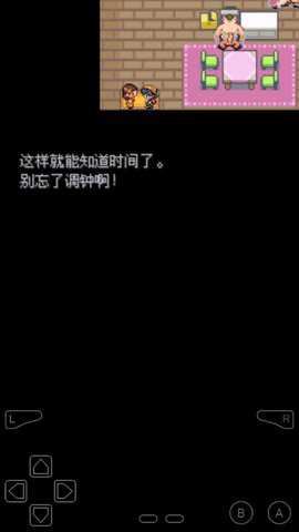 口袋妖怪圣炎传说修改版