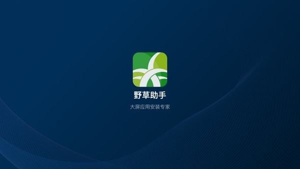 野草助手tv版安装包