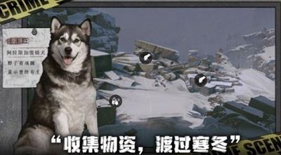 我在末日捡垃圾