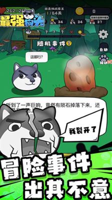 相关图片