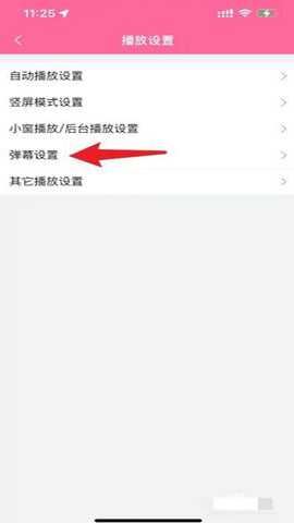 噼哩噼哩pilipili轻量版 1.1.4-288d554d 最新版