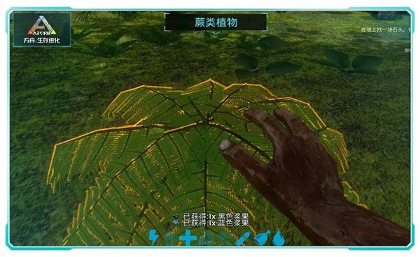 方舟生存进化手机版新手指南