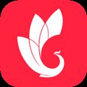 巅峰减重App