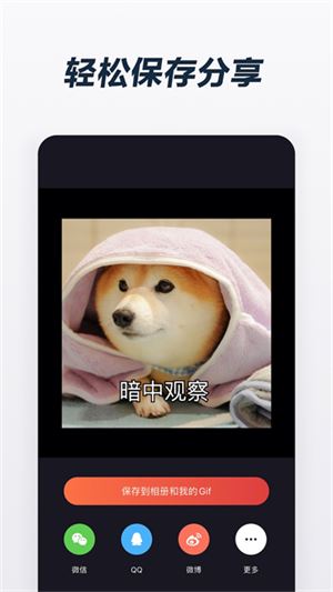 Gif制作器