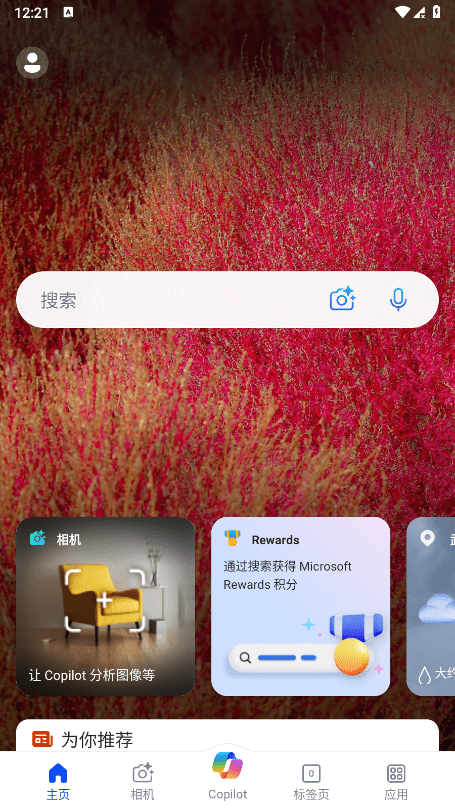 必应搜索引擎官方版软件下载 33.0.4