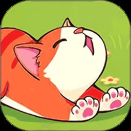 猫咪解压馆