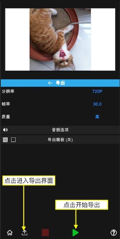 NodeVideo专业版 NodeVideo专业版