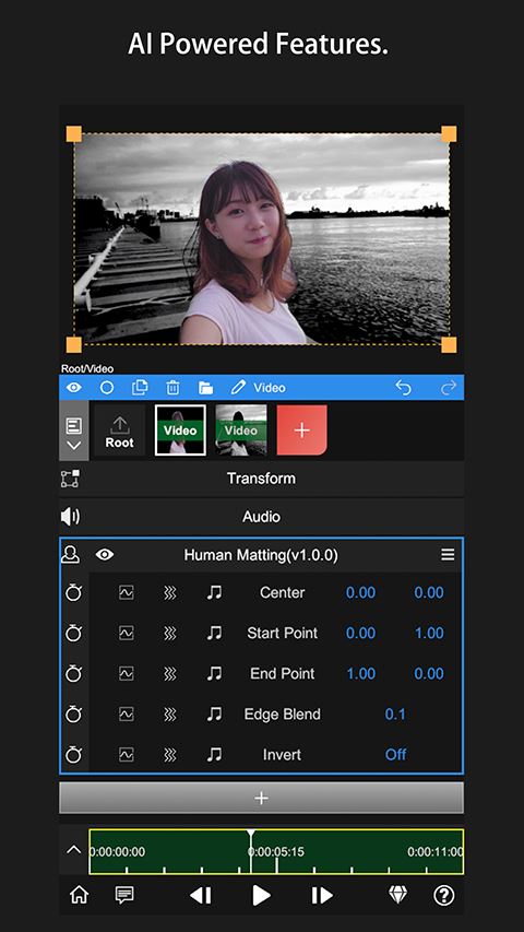 NodeVideo专业版