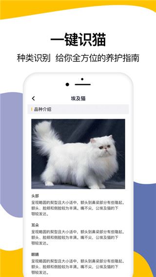 猫语翻译器ios版