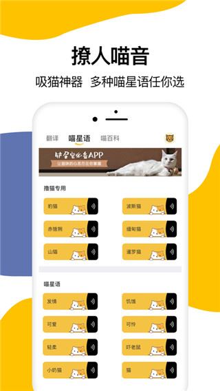 猫语翻译器ios版