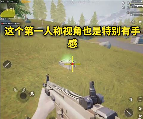 画质MxPro终极版