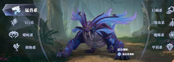 斗罗大陆魂师对决新手攻略
