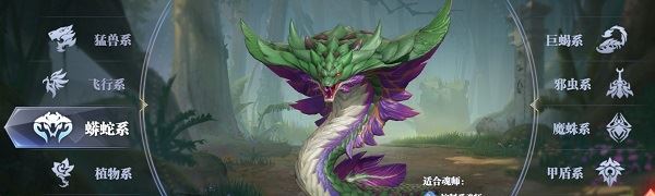 斗罗大陆魂师对决新手攻略