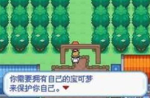 口袋妖怪梦的光点