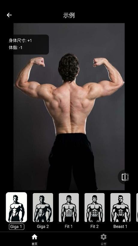 Gigabodyplus